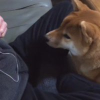 壊れてしまったおもちゃ