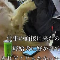ティトちゃんがアタック！