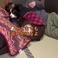 「着いて行くんだから！！」