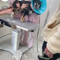 赤ちゃんと瓜二つ…！