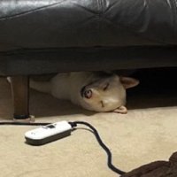 気持ち良さそうにすやすや…