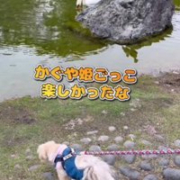 寂しがる姿にキュン♡