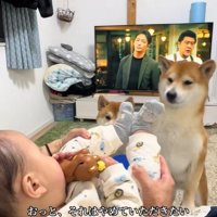 足でガード！