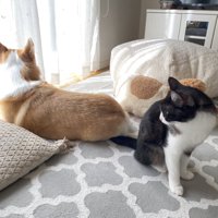 寄り添って過ごす