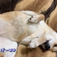 無防備な姿が可愛い！