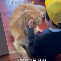 困ったときには助けてあげたい