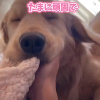 たまに頑固で…