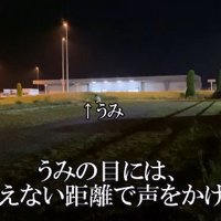 遠くからママが呼んでいた♡