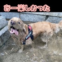 「またやりたいな」