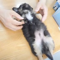 流れに身を任せっきり