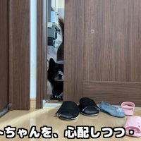 子煩悩な一休さんでした