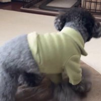 さくらちゃんのハウス成功