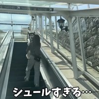 エスカレーターで上へ移動
