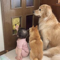 尊すぎる