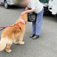 二人目に撫でられる犬