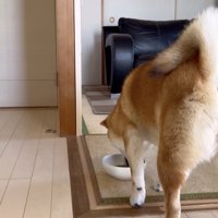 約束、守ってくれました