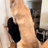 パパへの愛が重い！？