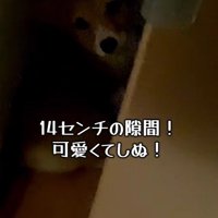 くるっと振り向いています