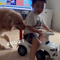 おもちゃの車を方向転換する男の子と、取っ手を咥えて後ろでサポートする犬