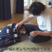 体調を崩した柴犬