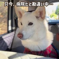 病院へ行くと勘違い