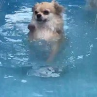 真剣そのもの