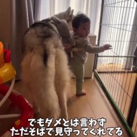 スノウちゃんのおかげで冒険できる♪