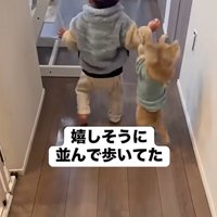 並んで歩くふたり