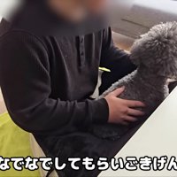 きゅうちゃんも甘えん坊に♡