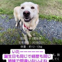 見つかったもなかちゃん