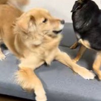 現在はレベルアップ！？