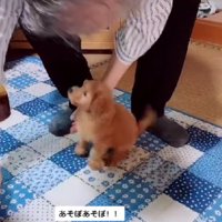 全身でアピール♪