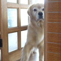 お風呂が嫌で後退りするるこる君