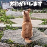 「家族が欲しい」