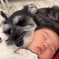 幸せそうな寝顔♪