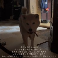 「一緒に寝たい！」と寄ってきて…