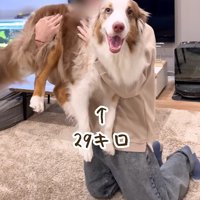 大きな赤ちゃん2人目♡
