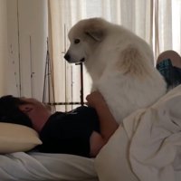 お腹の上にお座り♡