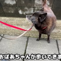 別のおばあちゃんを見たら…