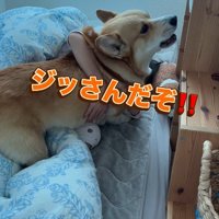 「朝だぞ！起きて！！」