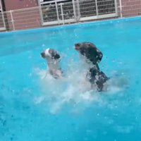 同時にゴール