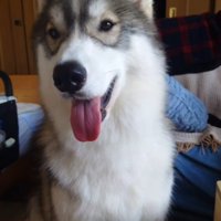 リラックスした笑顔に涙