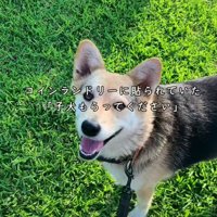 あのときの張り紙の子だ…
