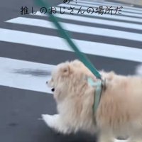 おじさんの場所だと気づいたエリーちゃん