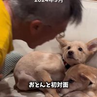 最初はご家族を怖がっていた2匹