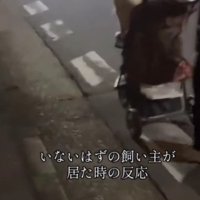 「待って！ちょっと止まって！！」