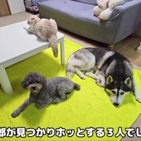 絆の深さに感動♪