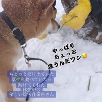 草を差し出すと…