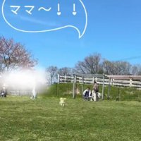 「ママ～！！」