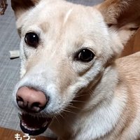 そらちゃんの変化⑩